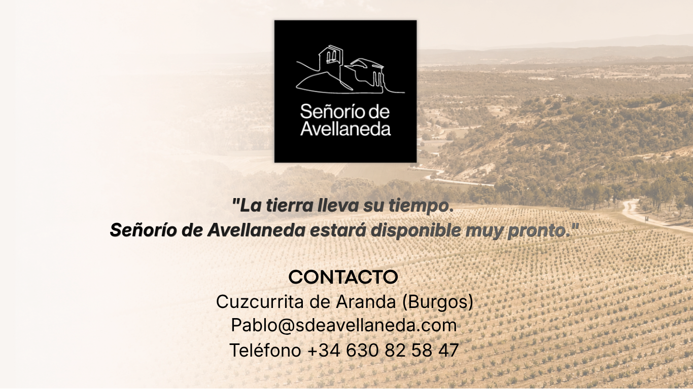 Señorío de Avellaneda - Ribera del Duero